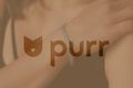 Серебряный браслет на ногу от Purr – стильный аксессуар для смелых фото